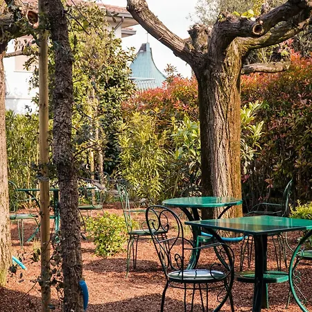 Hotel Arya By Mauro 3*